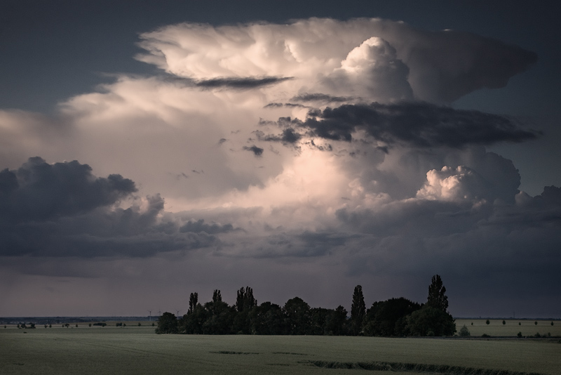 Cumulus