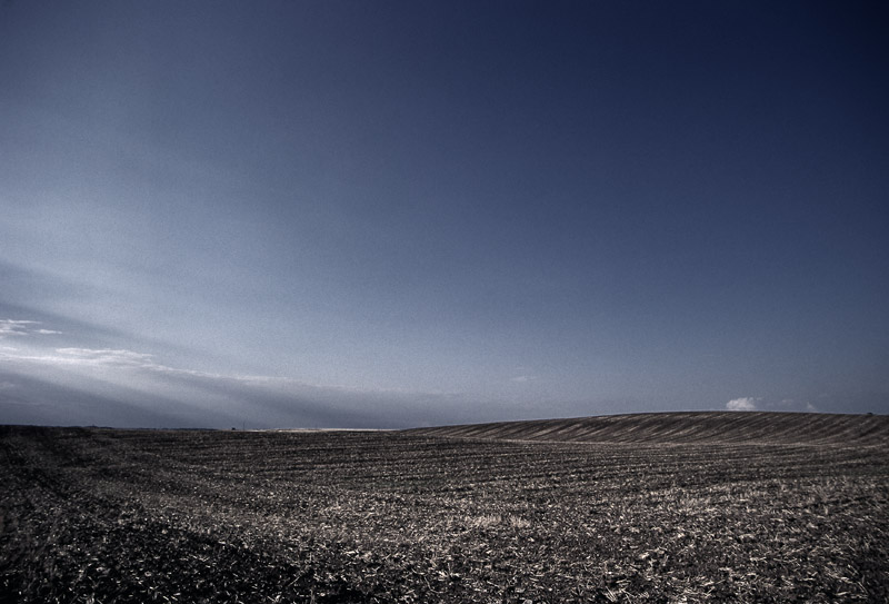 Brachwitz-mal anders