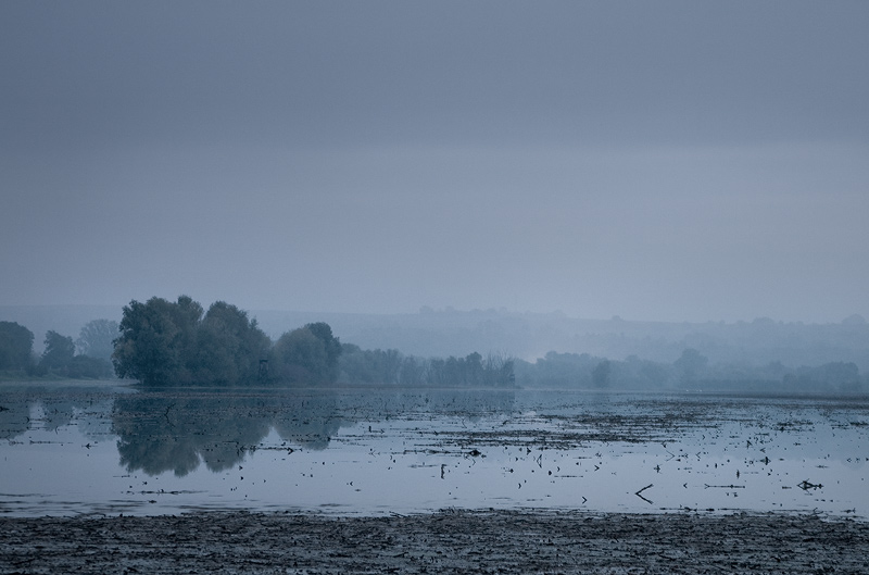 Saale Hochwasser