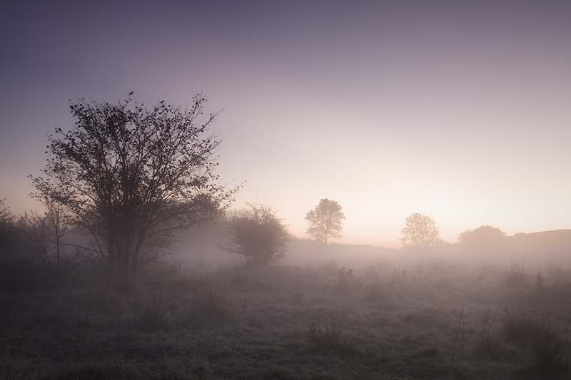 Herbstnebel