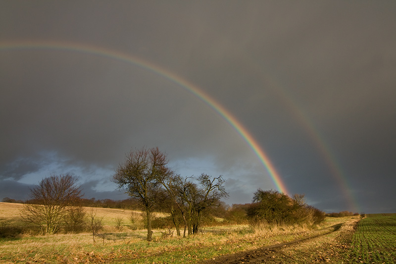 Rainbow