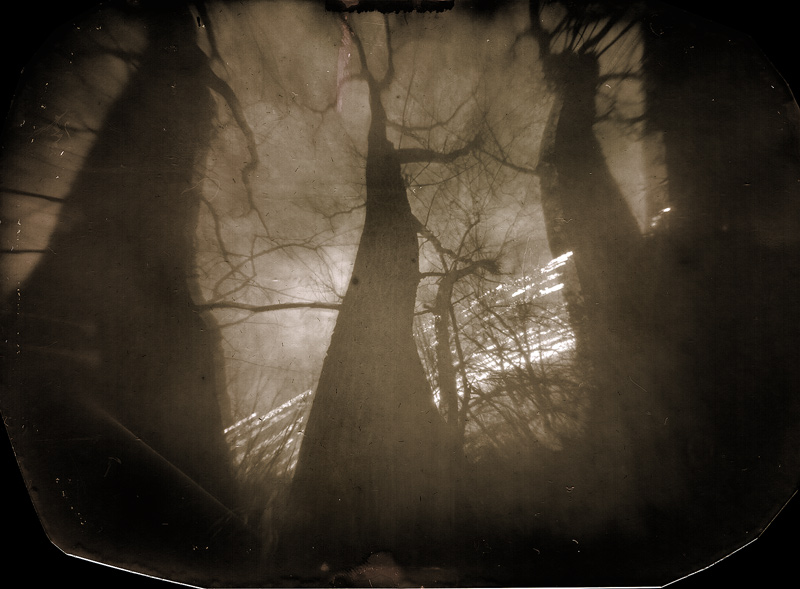 Solargraph pinhole caffenol sun