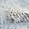 hoar frost winter snow macro leaf feldauge crystal