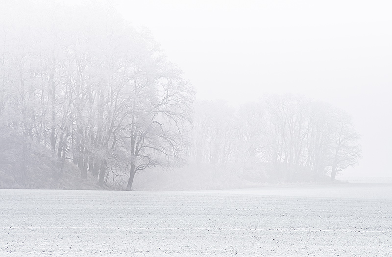 schachtberge trees misty fog frost winter feldauge