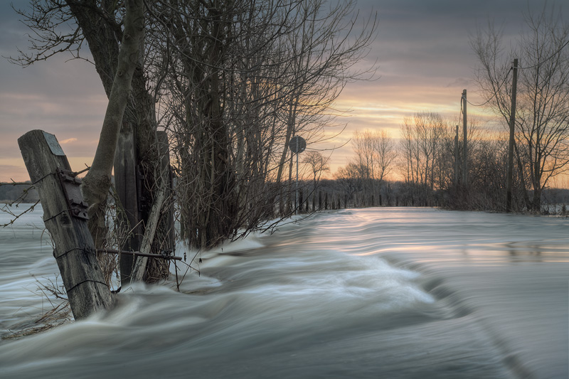 flood trees dri feldauge saale water sunrise