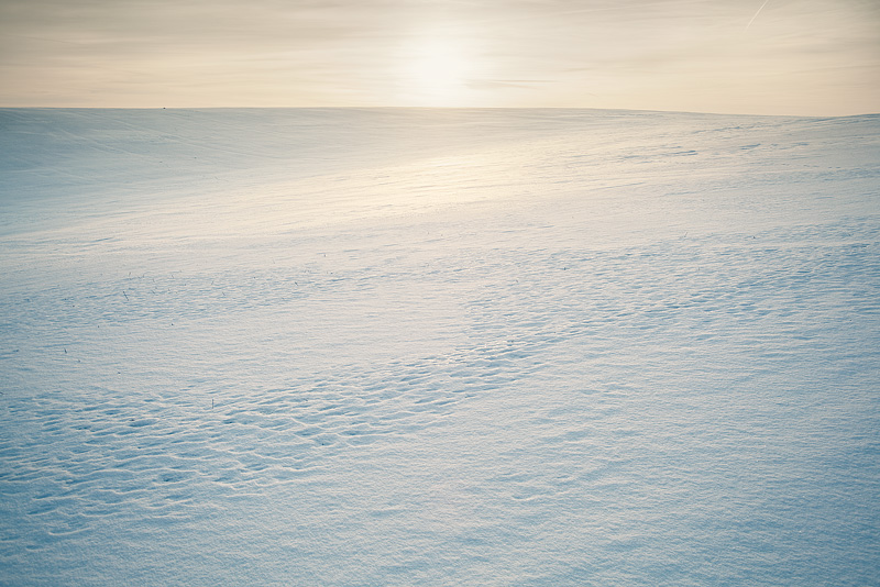 winter sun feldauge teicha snow saalekreis