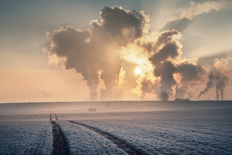 buna delitz_am_berge sunrise feldauge field