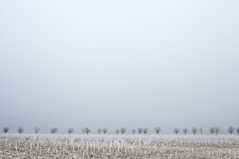 franzosensteinweg halle feldauge frost hoarfrost 