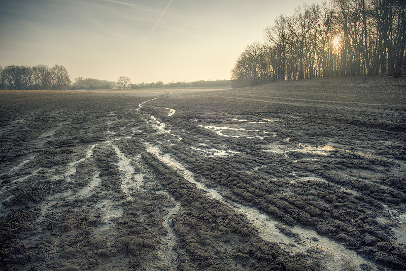 field sunrise kütten mud delta feldauge spring