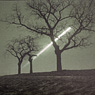 sunrise trees kütten solargraphy solarigrafia feldauge boxcam