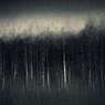 inner landscape blur B&W feldauge endpoint