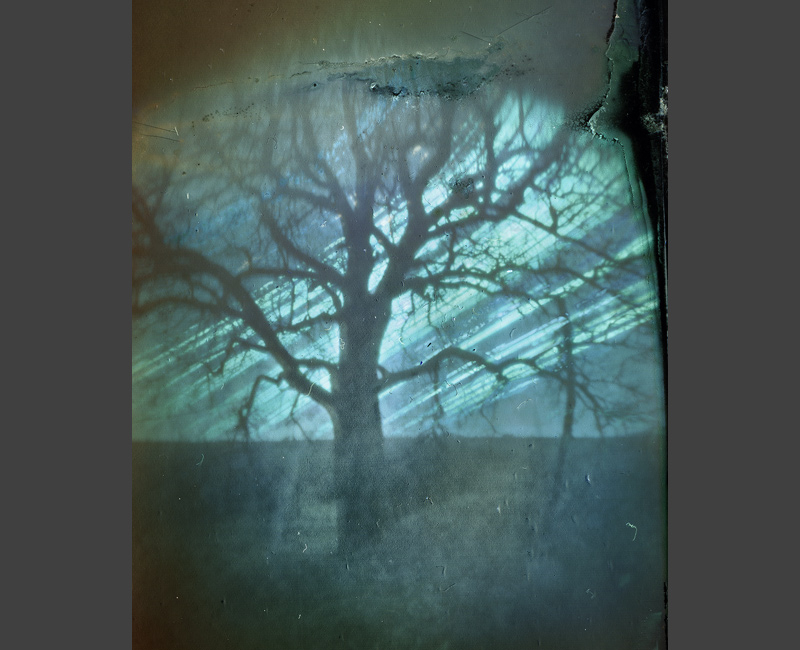 solargraphy solarigrafia tree ilford feldauge seeben