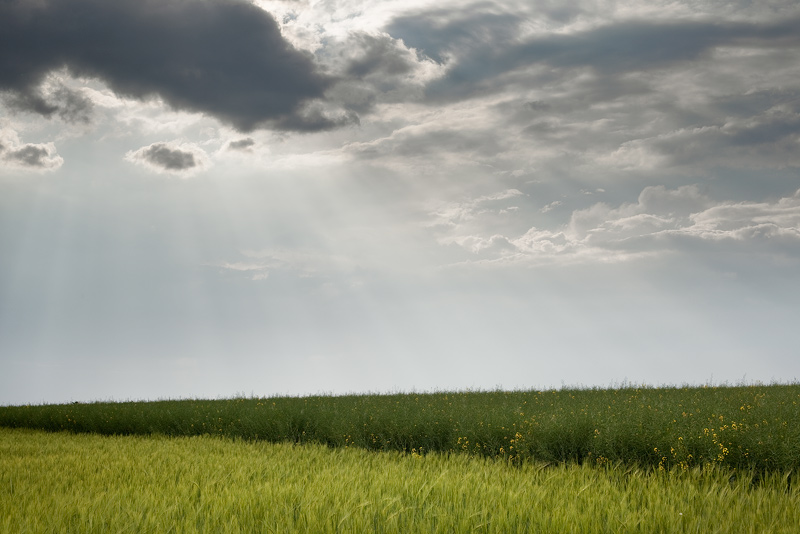 field sun clouds minimal rays feldauge seeben