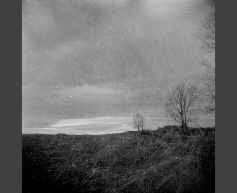 Holga1