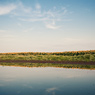 mirror sunflower field sky puddle water feldauge seeben