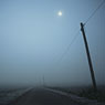 way fog misty dawn poles feldauge wettin