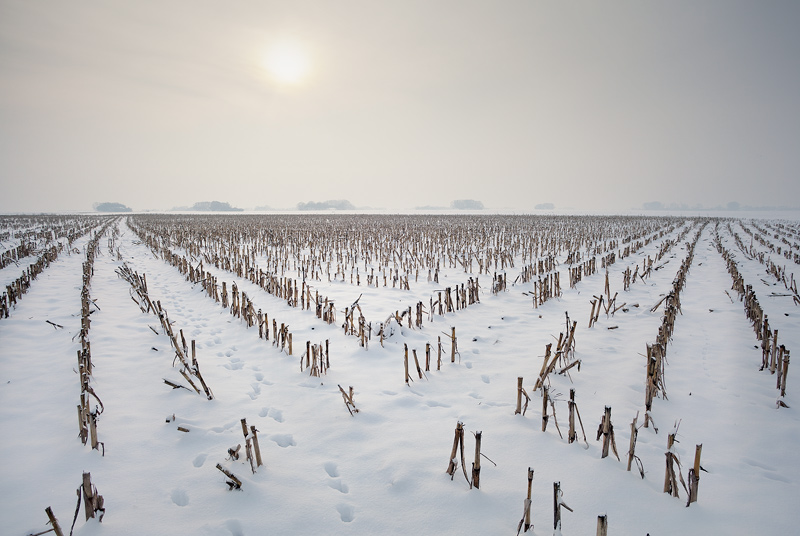 schnee snow schachtberge feldauge mais corn lines domnitz