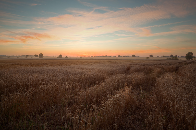 field harvest sunset feldauge rieda