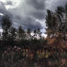 Herbstwind