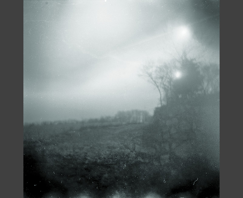 Holga triple