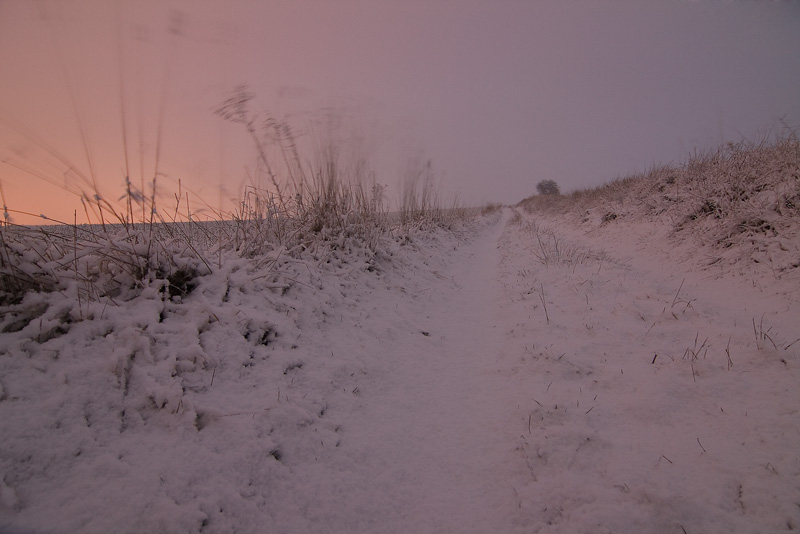 Roter Schnee